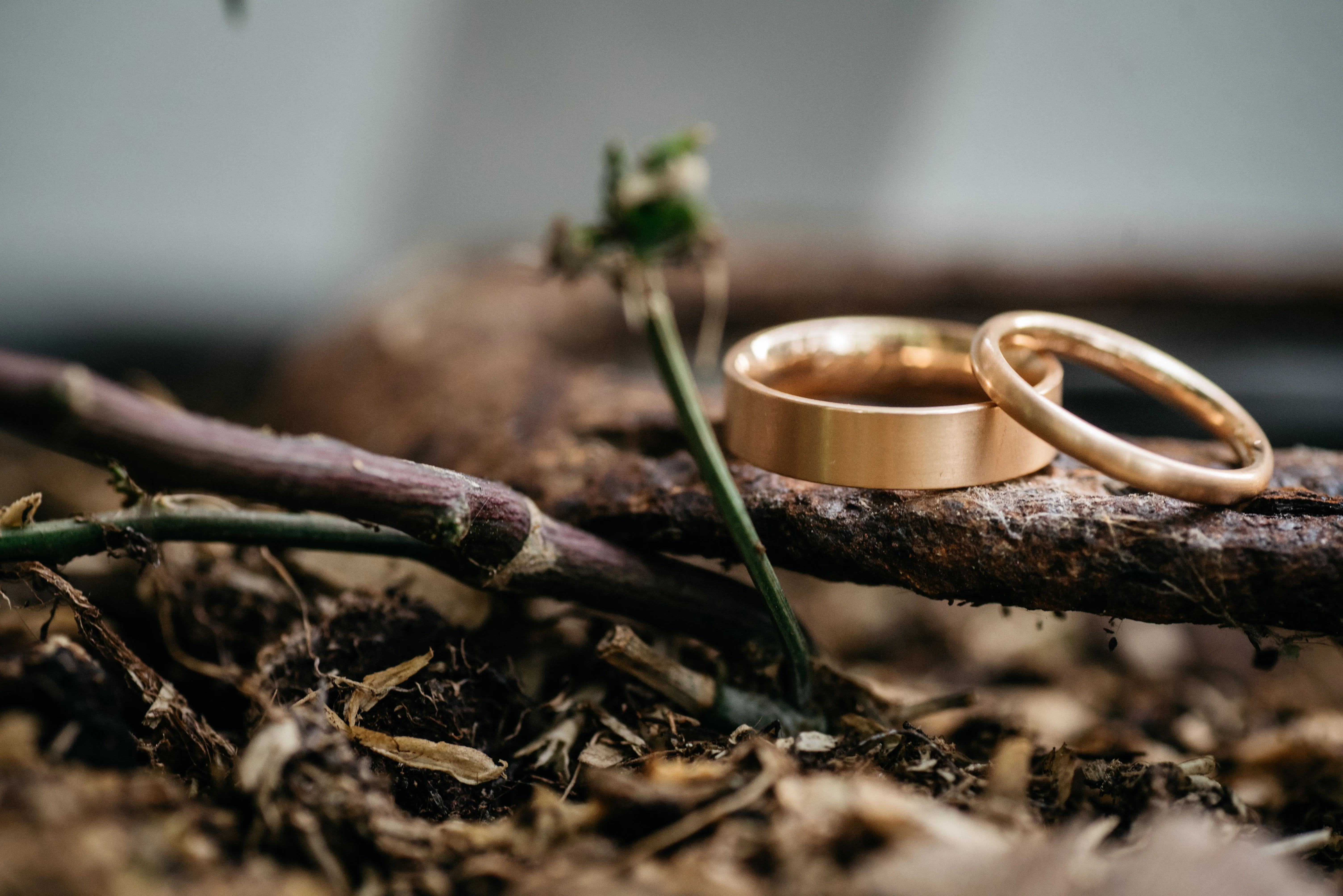 Anillo de compromiso